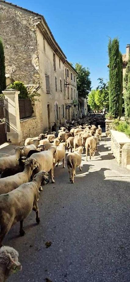 Chambres D'Hotes Le Relais Des Marmottes En Luberon Lagnes Exterior foto